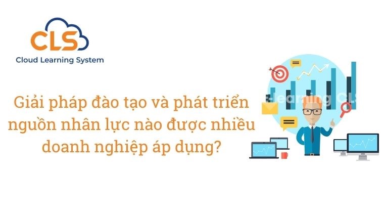 Giải pháp đào tạo và phát triển nguồn nhân lực nào được nhiều doanh nghiệp áp dụng?