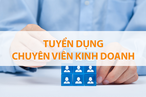 Chuyên viên phát triển dự án B2B - Khối E-Learning thuộc Tập đoàn Hương Việt
