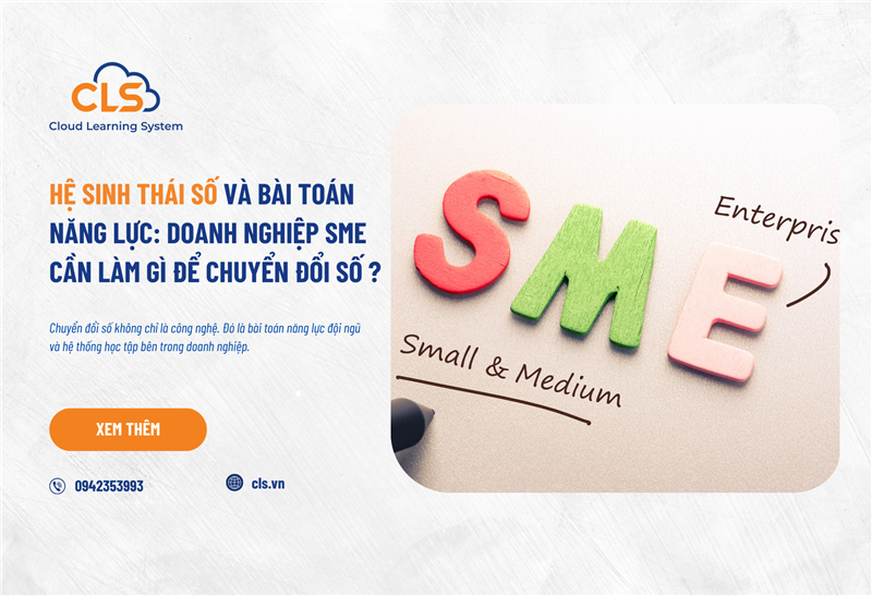 HỆ SINH THÁI SỐ VÀ BÀI TOÁN NĂNG LỰC: DOANH NGHIỆP SME CẦN LÀM GÌ ĐỂ CHUYỂN ĐỔI SỐ ?